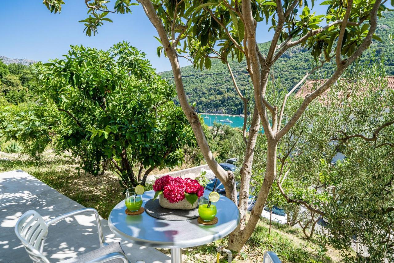 Voga Apartment Dubrovnik Exterior photo